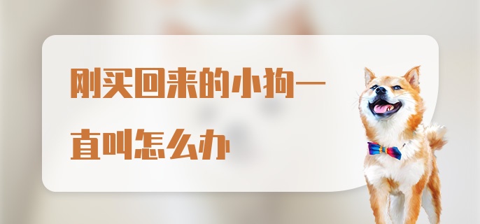 刚买回来的小狗一直叫怎么办