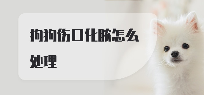 狗狗伤口化脓怎么处理