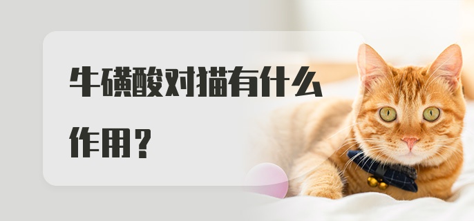 牛磺酸对猫有什么作用？