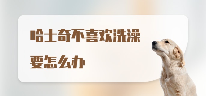 哈士奇不喜欢洗澡要怎么办