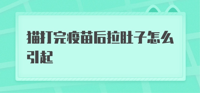 猫打完疫苗后拉肚子怎么引起