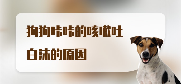 狗狗咔咔的咳嗽吐白沫的原因