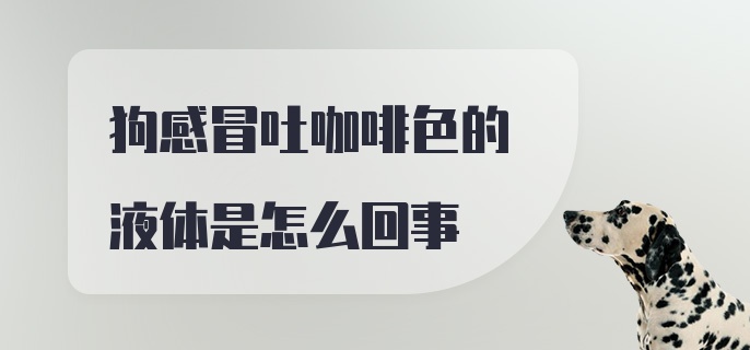 狗感冒吐咖啡色的液体是怎么回事