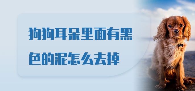 狗狗耳朵里面有黑色的泥怎么去掉