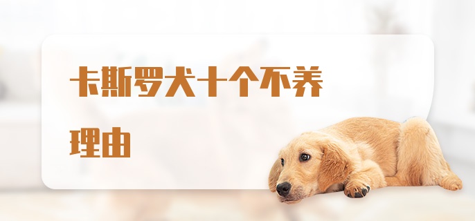 卡斯罗犬十个不养理由