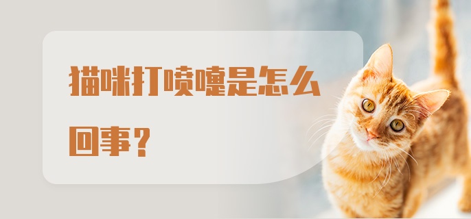 猫咪打喷嚏是怎么回事？