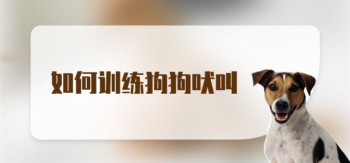 如何训练狗狗吠叫