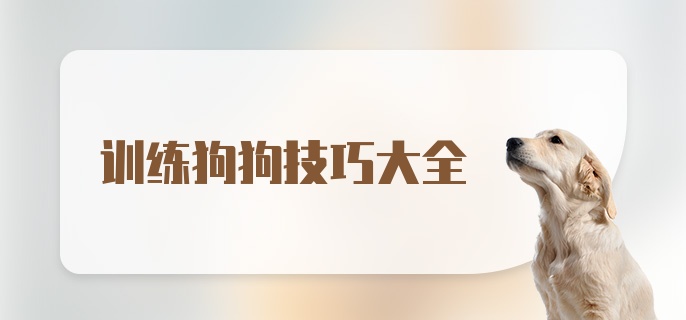 训练狗狗技巧大全