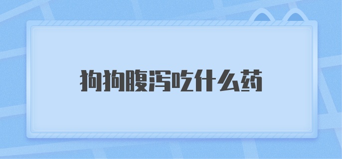 狗狗腹泻吃什么药