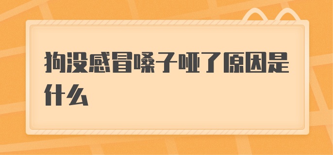 狗没感冒嗓子哑了原因是什么