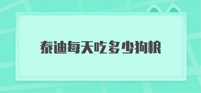 泰迪每天吃多少狗粮