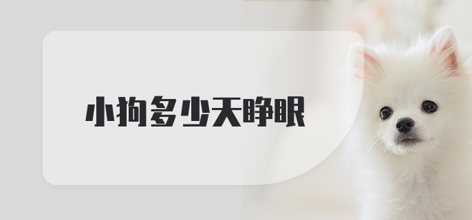 小狗多少天睁眼