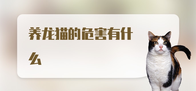 养龙猫的危害有什么