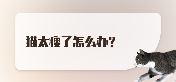 猫太瘦了怎么办？