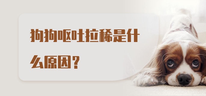 狗狗呕吐拉稀是什么原因？