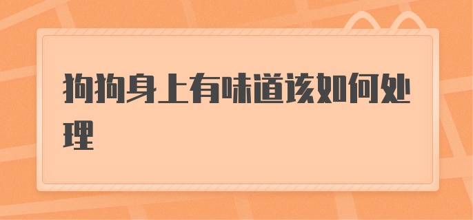 狗狗身上有味道该如何处理