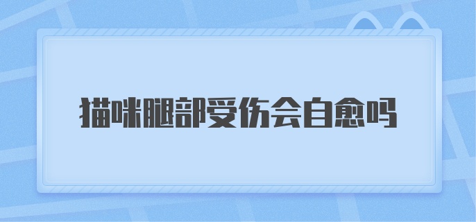 猫咪腿部受伤会自愈吗