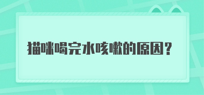 猫咪喝完水咳嗽的原因？