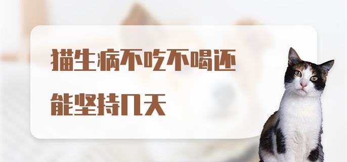 猫生病不吃不喝还能坚持几天