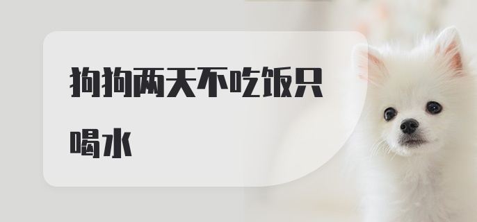 狗狗两天不吃饭只喝水