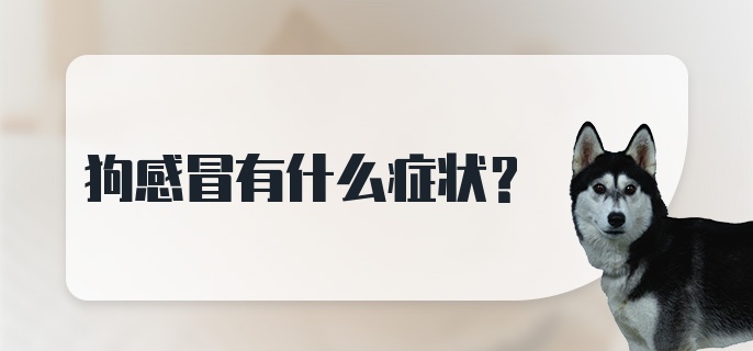 狗感冒有什么症状?