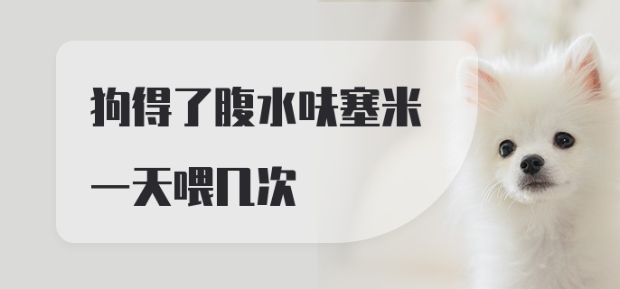 狗得了腹水呋塞米一天喂几次