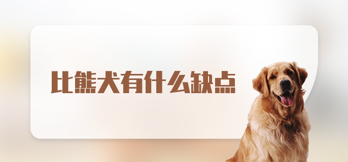 比熊犬有什么缺点