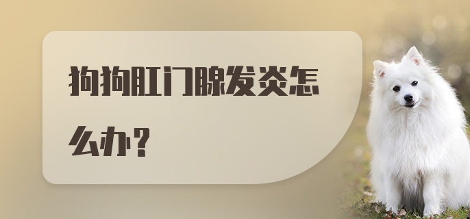 狗狗肛门腺发炎怎么办？