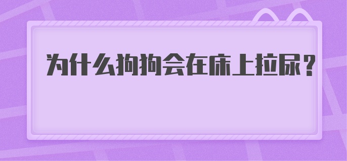 为什么狗狗会在床上拉尿？