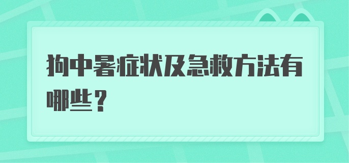 狗中暑症状及急救方法有哪些？