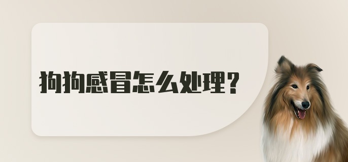 狗狗感冒怎么处理？