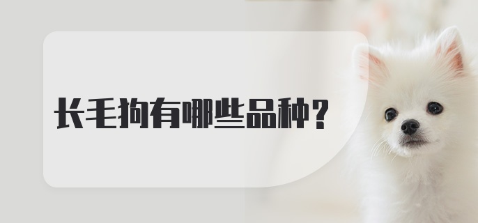 长毛狗有哪些品种？