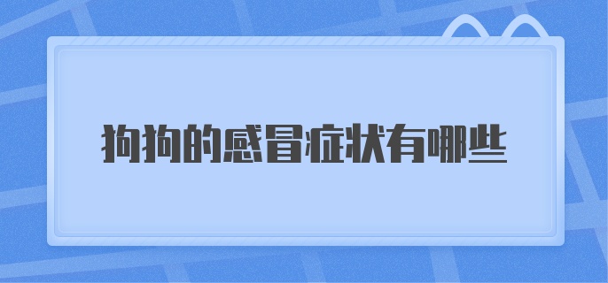 狗狗的感冒症状有哪些