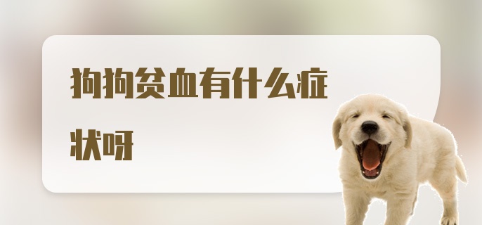 狗狗贫血有什么症状呀