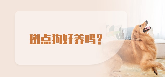 斑点狗好养吗？