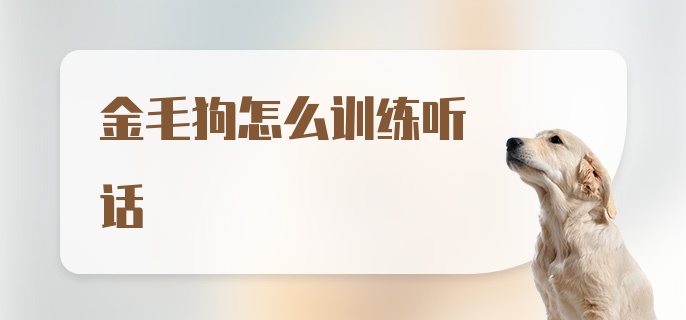 金毛狗怎么训练听话