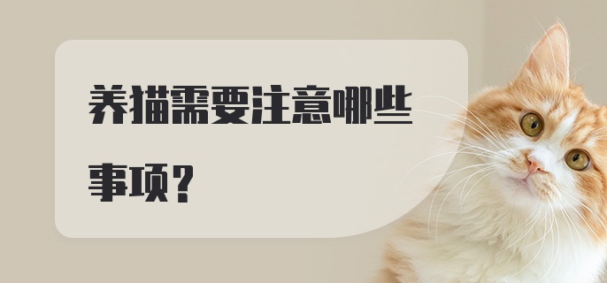 养猫需要注意哪些事项?