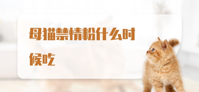 母猫禁情粉什么时候吃