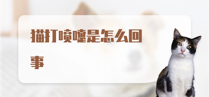 猫打喷嚏是怎么回事