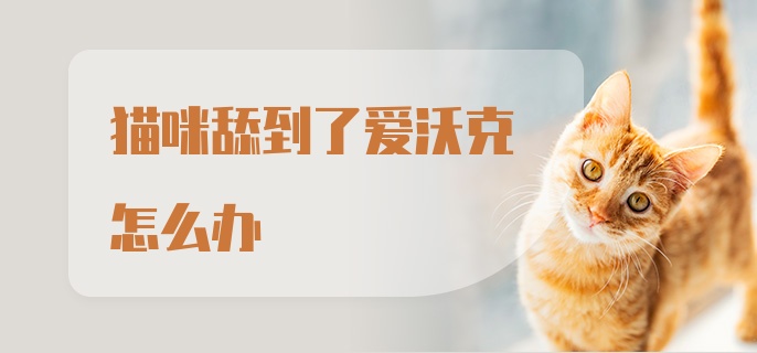 猫咪舔到了爱沃克怎么办