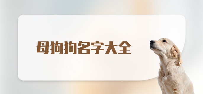 母狗狗名字大全