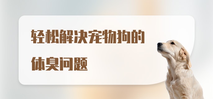 轻松解决宠物狗的体臭问题