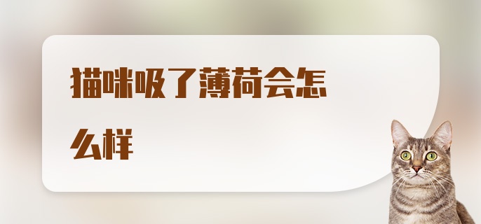 猫咪吸了薄荷会怎么样