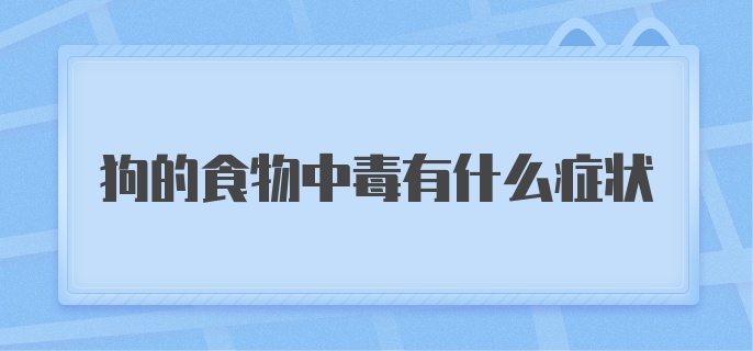 狗的食物中毒有什么症状