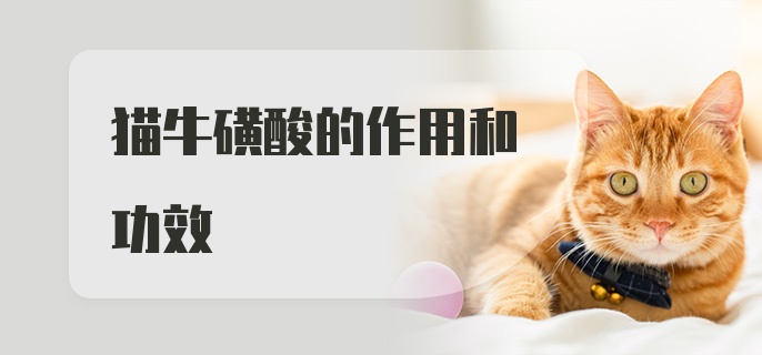 猫牛磺酸的作用和功效