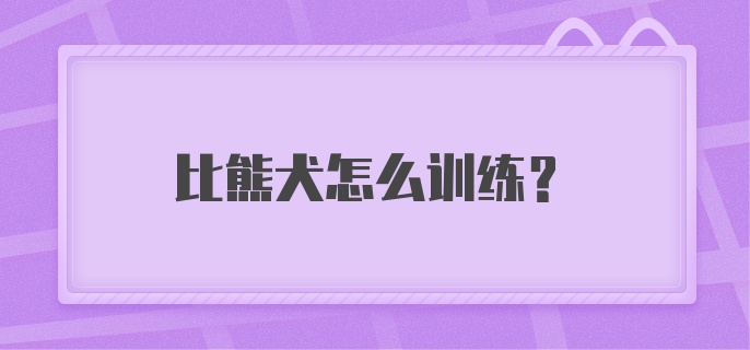 比熊犬怎么训练？