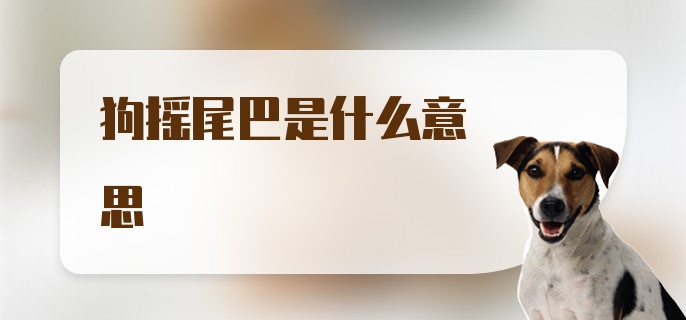 狗摇尾巴是什么意思