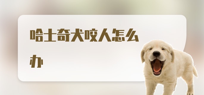 哈士奇犬咬人怎么办