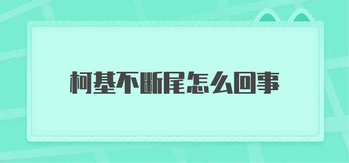 柯基不断尾怎么回事