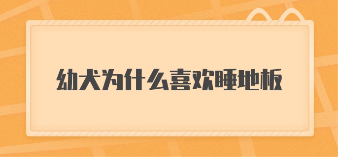 幼犬为什么喜欢睡地板